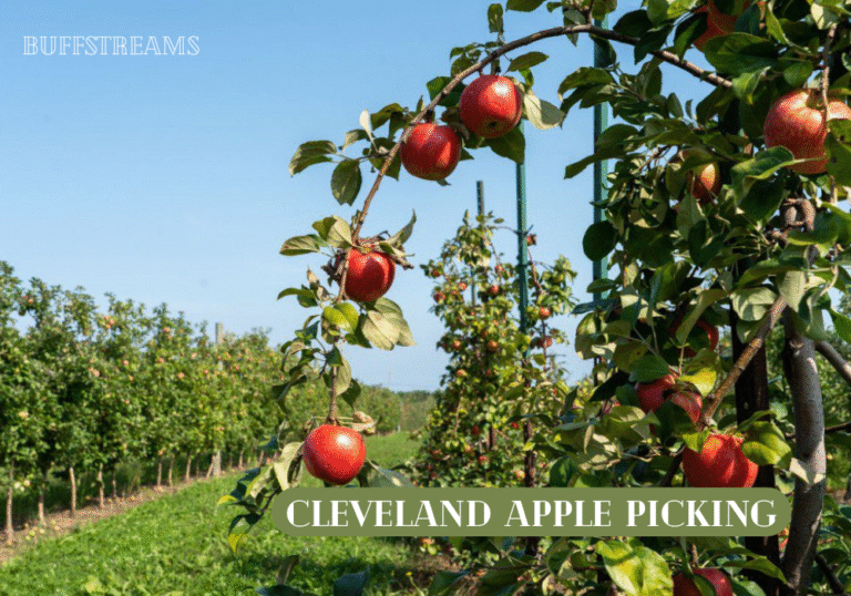 Cleveland Apple Picking